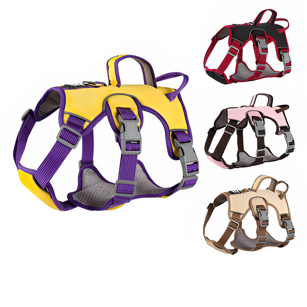 dc9330a8-189b-41ab-80d3-f8eaf5e4ba61