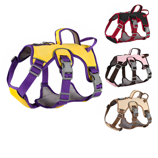 dc9330a8-189b-41ab-80d3-f8eaf5e4ba61