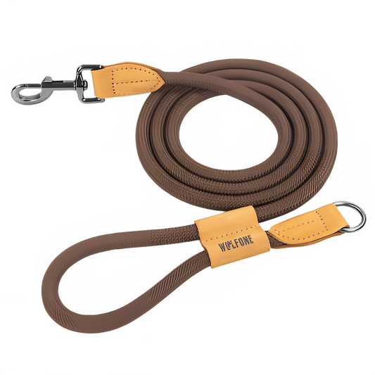 f37f2c1f-c8db-40b5-8ca1-8e9d26a4b98a