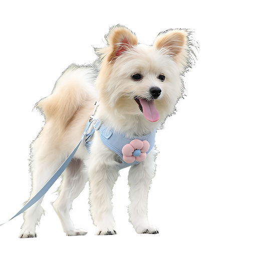 fd8c65fc-2d1f-44c9-800a-c72200a08de5